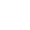 Intellectual Capital